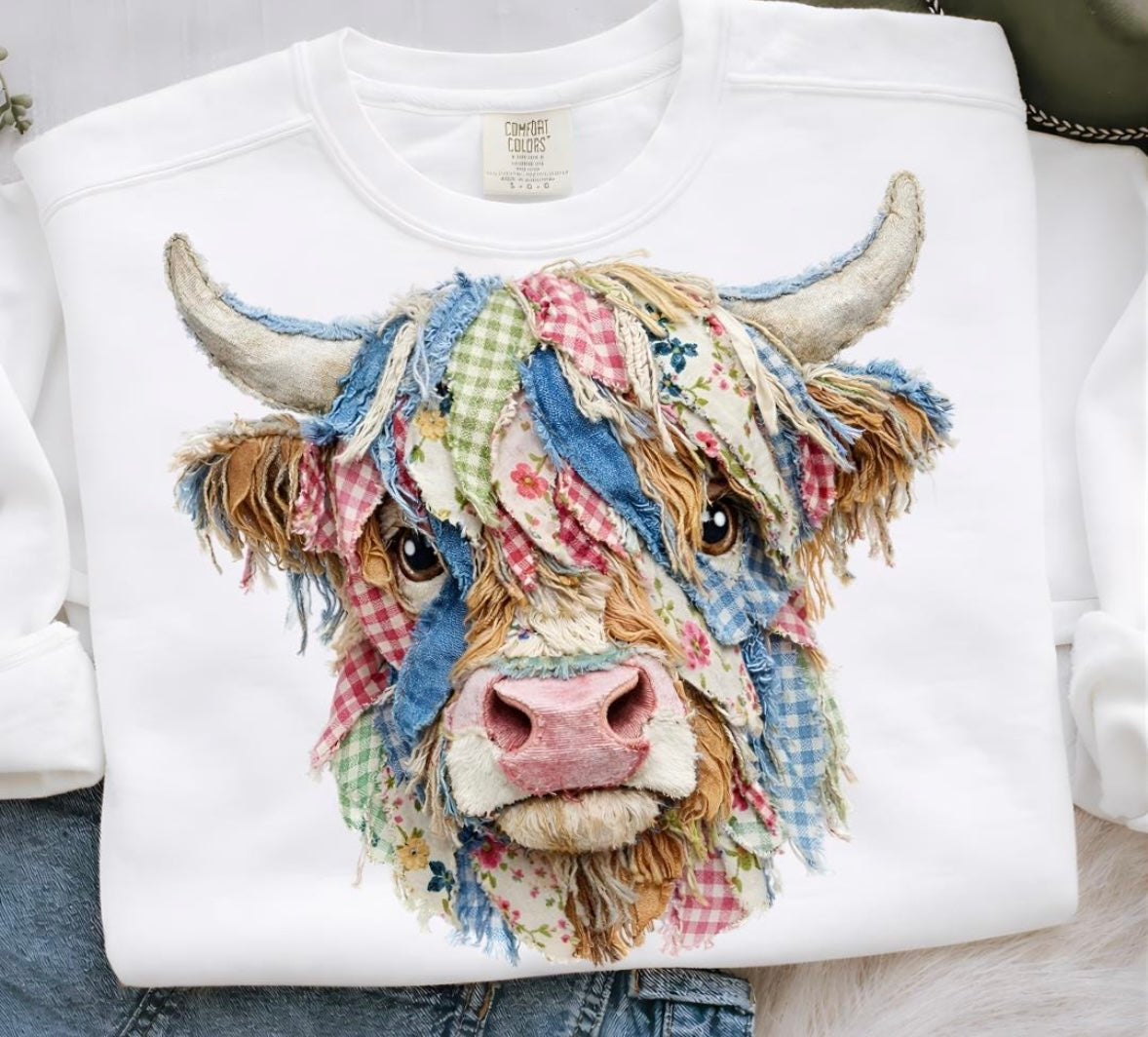 Highland Cow